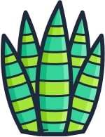 Feuille