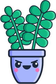 Plante