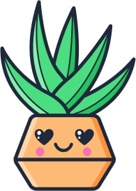 Plante