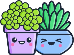 Plantes